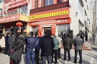 西安爆料高陵案件最新,西安爆料揭示惊人内幕  第3张